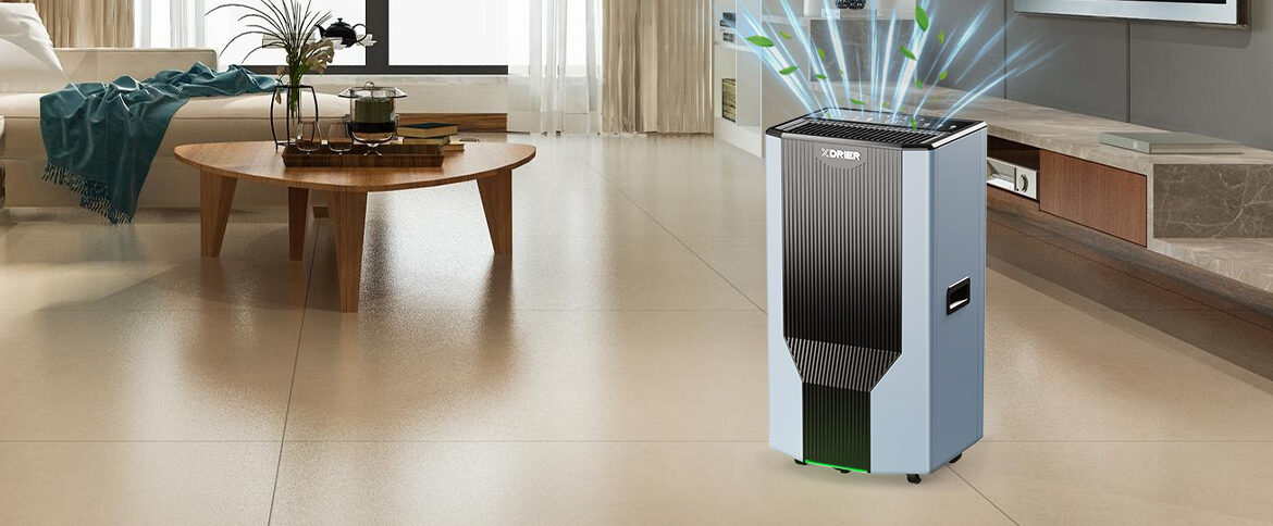 Take a Peek and Learn About XDRIER's Dehumidifiers