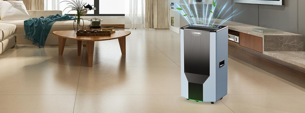 Take a Peek and Learn About XDRIER's Dehumidifiers