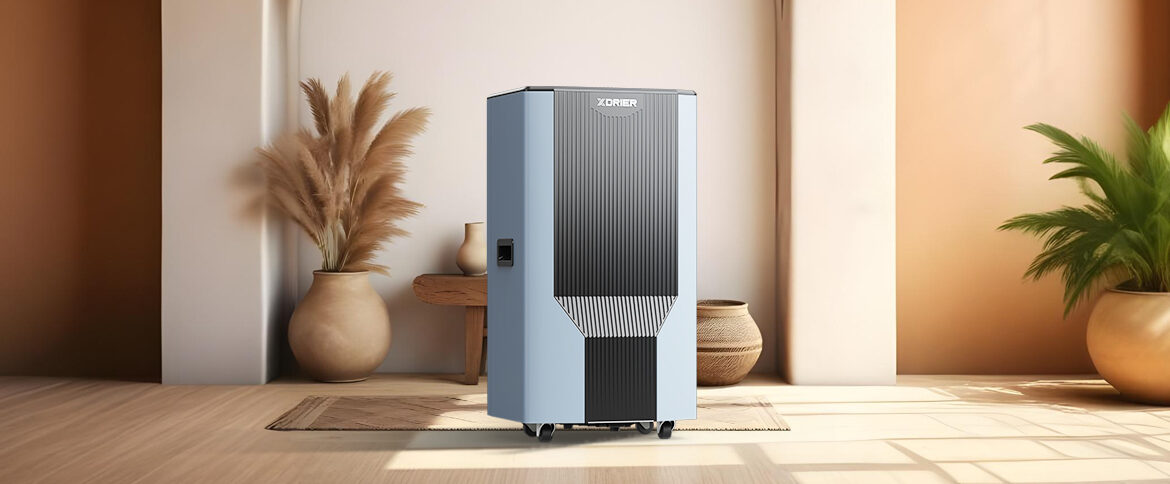 10 Benefits of Owning a Dehumidifier, According to Science