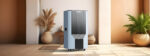 10 Benefits of Owning a Dehumidifier, According to Science