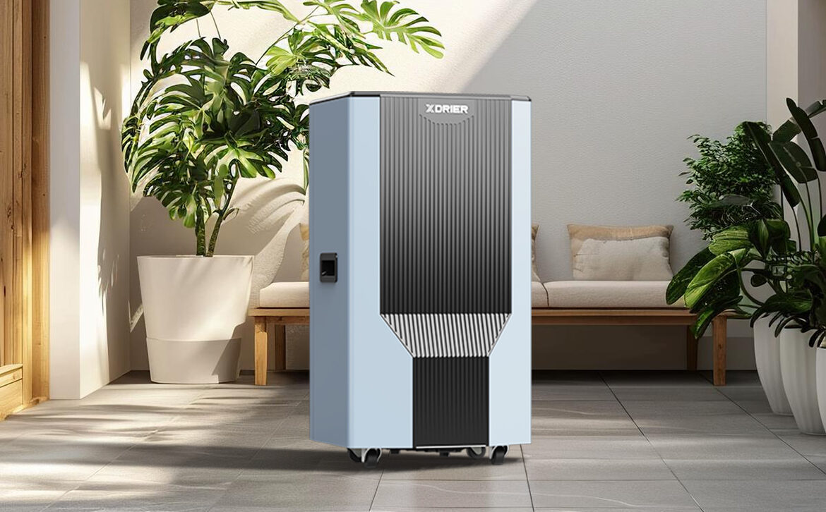 7 Reasons Why You Need a Dehumidifier