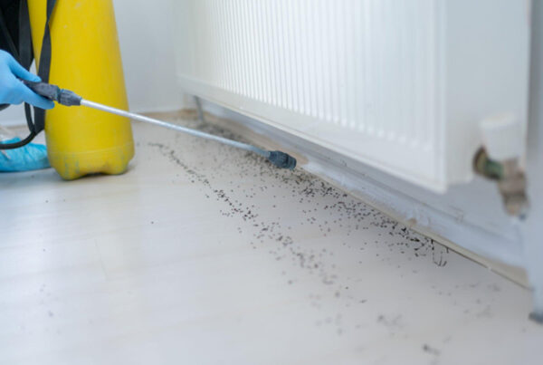 7 Reasons Why You Need a Dehumidifier