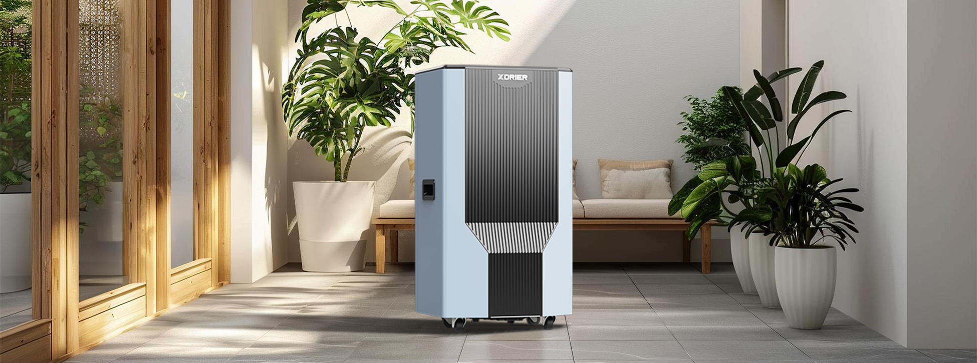 7 Reasons Why You Need a Dehumidifier