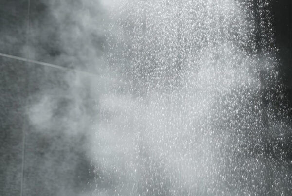 How To Dehumidify Your Home